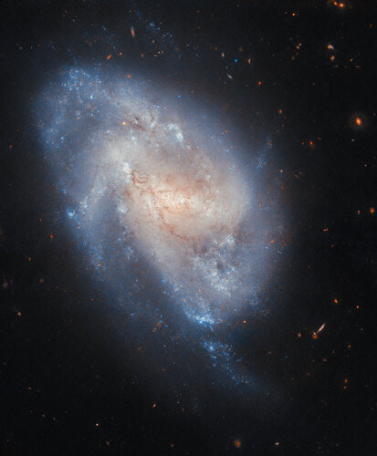 A supernova checkup