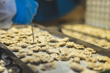Making of pierogi for space