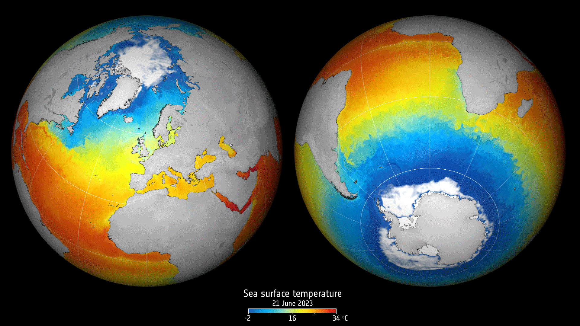 Global sea surface temperature